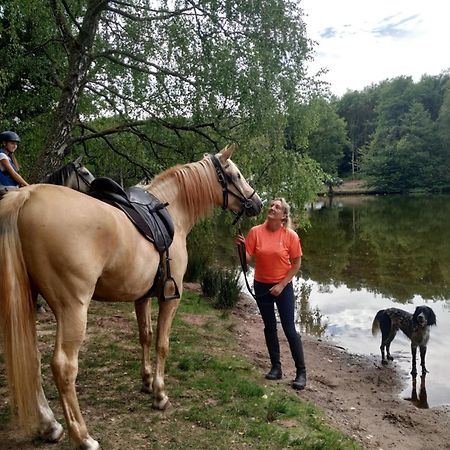 L'Echappee Verte - Gite Equestre 5 Pers Soucht Zewnętrze zdjęcie
