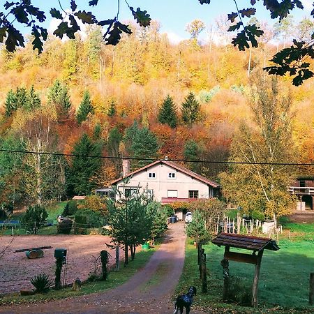 L'Echappee Verte - Gite Equestre 5 Pers Soucht Zewnętrze zdjęcie
