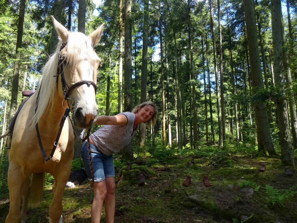 L'Echappee Verte - Gite Equestre 5 Pers Soucht Zewnętrze zdjęcie