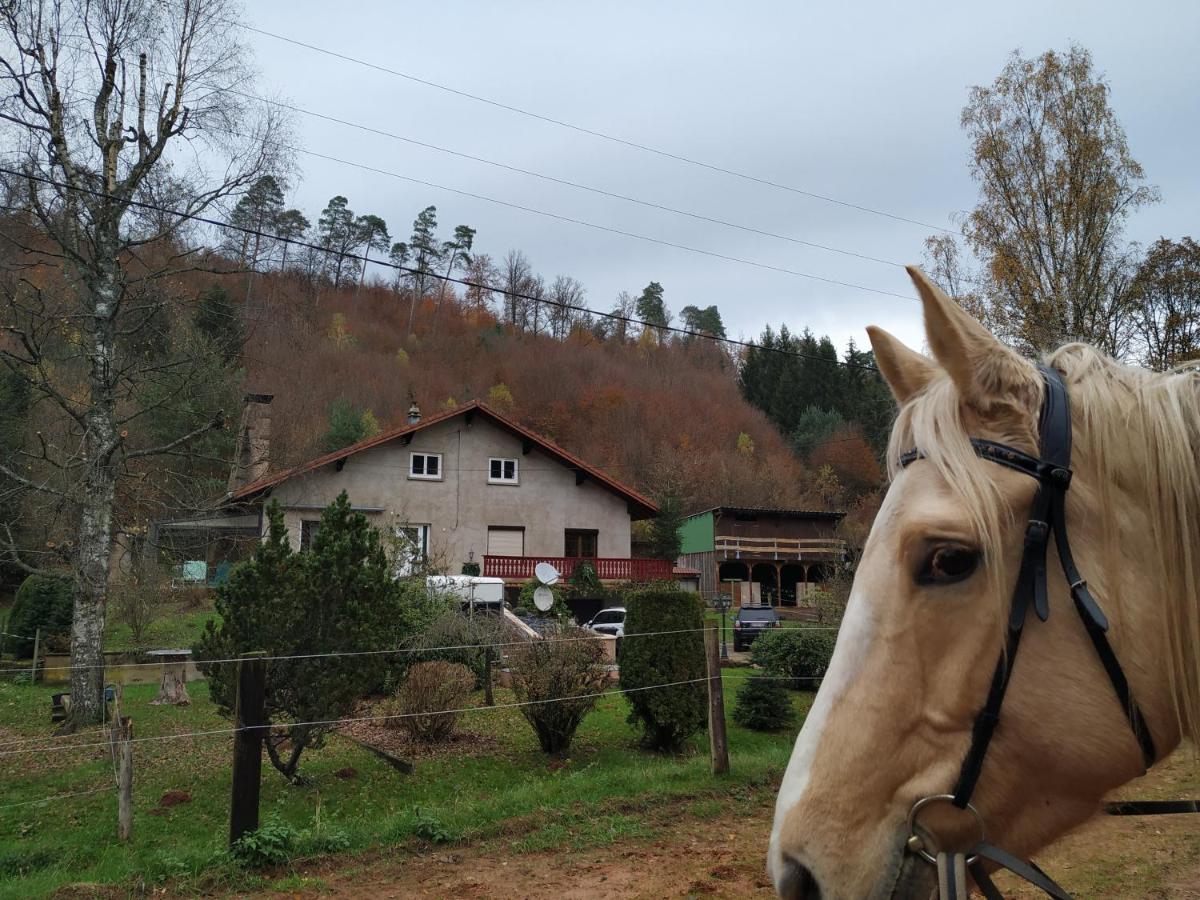 L'Echappee Verte - Gite Equestre 5 Pers Soucht Zewnętrze zdjęcie