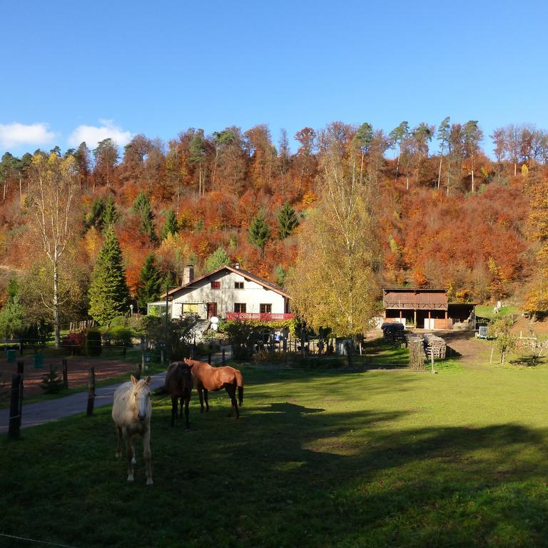 L'Echappee Verte - Gite Equestre 5 Pers Soucht Pokój zdjęcie