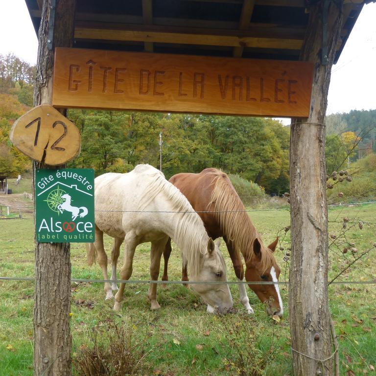 L'Echappee Verte - Gite Equestre 5 Pers Soucht Zewnętrze zdjęcie