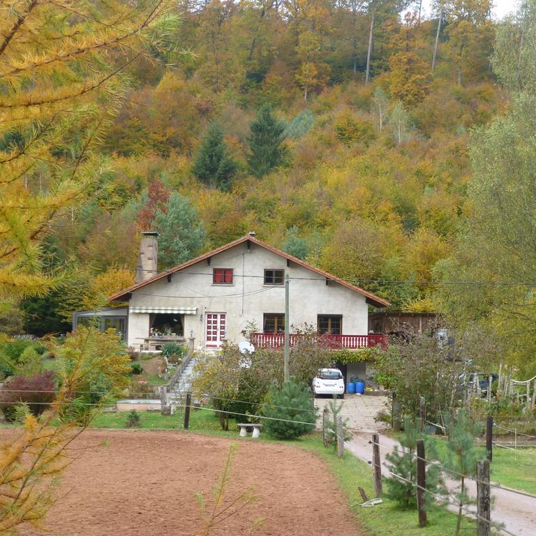L'Echappee Verte - Gite Equestre 5 Pers Soucht Zewnętrze zdjęcie