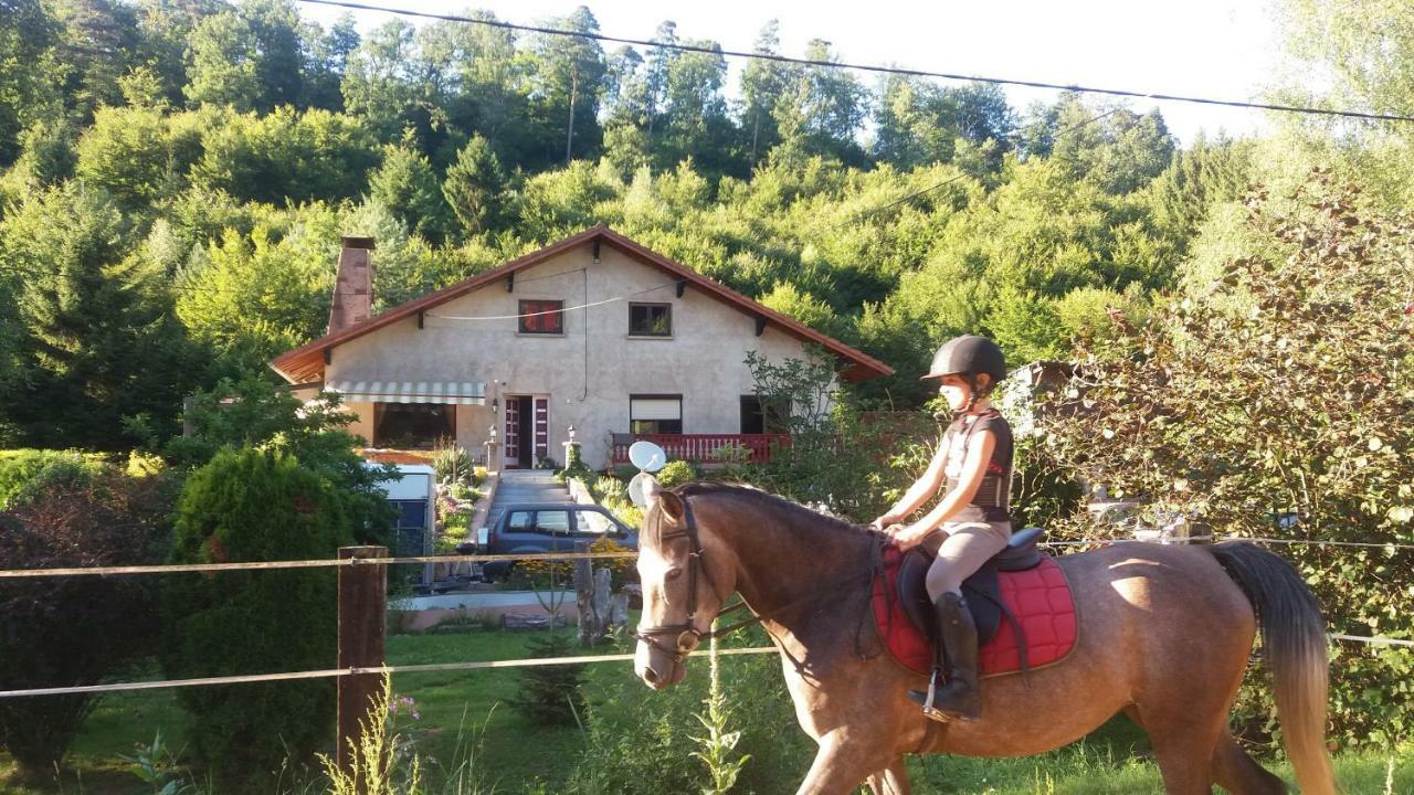 L'Echappee Verte - Gite Equestre 5 Pers Soucht Zewnętrze zdjęcie