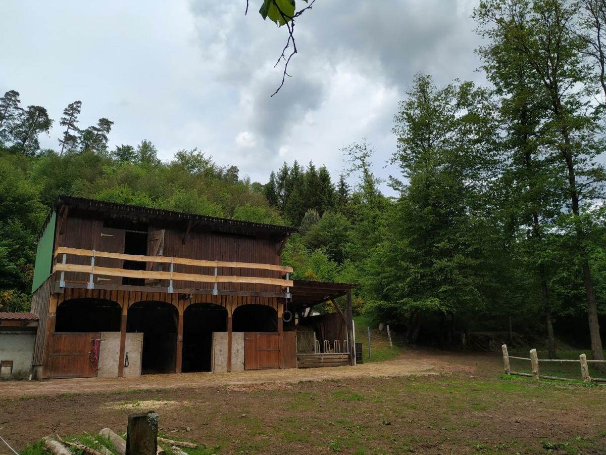 L'Echappee Verte - Gite Equestre 5 Pers Soucht Zewnętrze zdjęcie